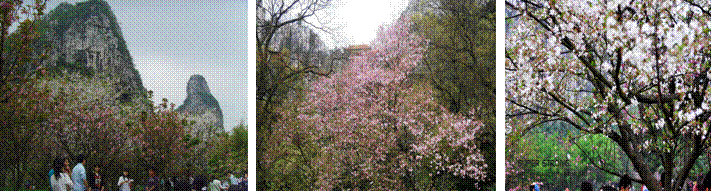 QQ图片20160401205022.gif