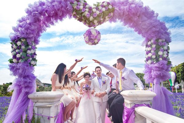 广州百万葵园一日游 广州百万葵园一日游